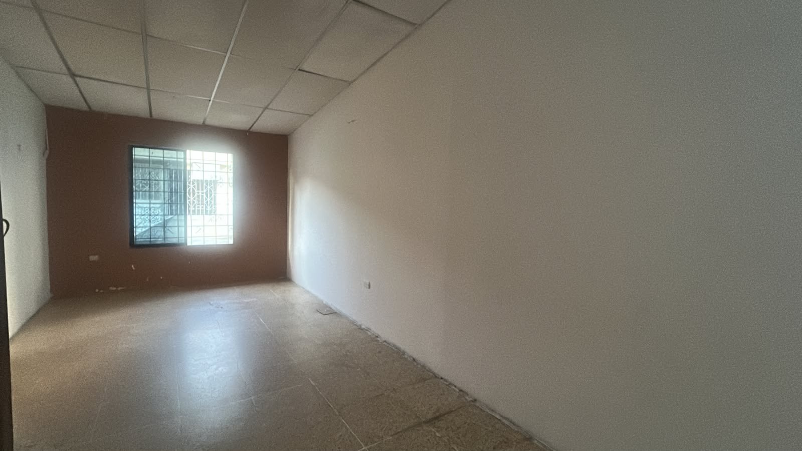 Vista Principal